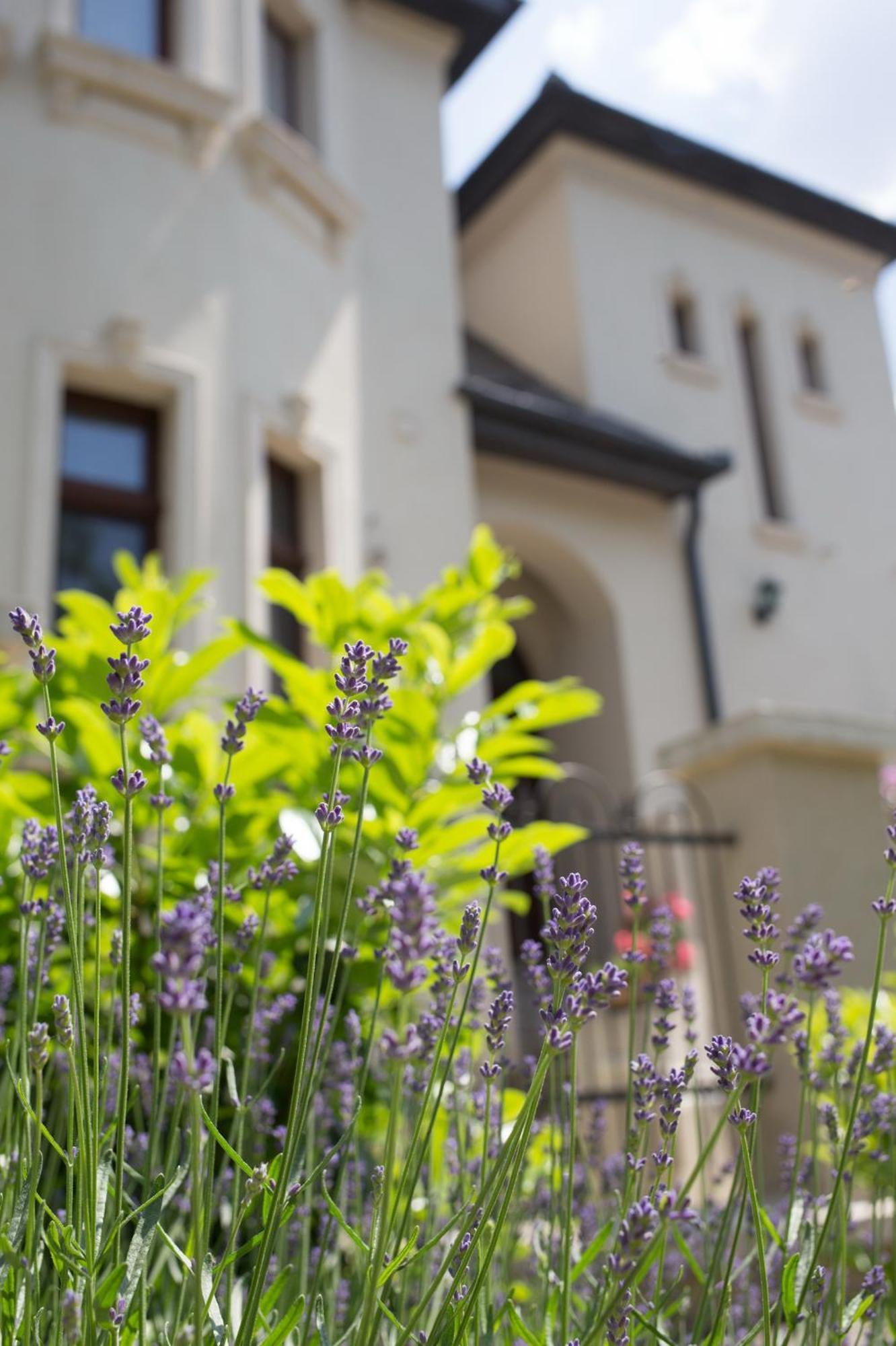 Kuria Apartman With Private Jacuzzi And Pool Budapest Eksteriør billede