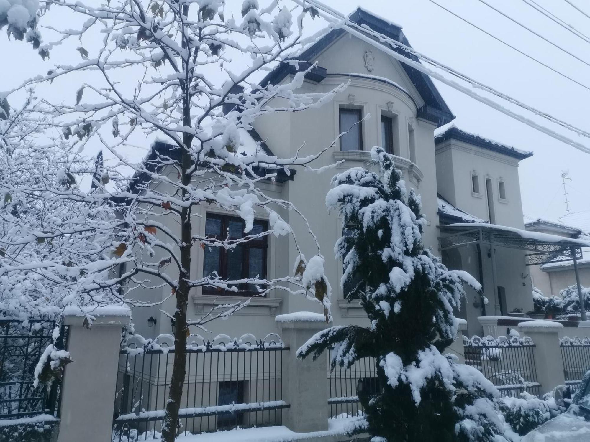 Kuria Apartman With Private Jacuzzi And Pool Budapest Eksteriør billede