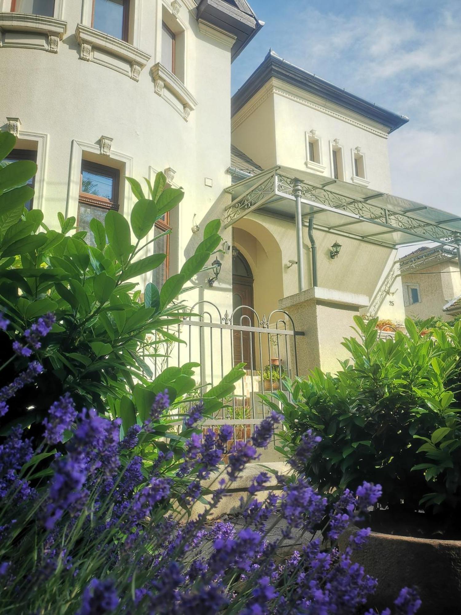 Kuria Apartman With Private Jacuzzi And Pool Budapest Eksteriør billede